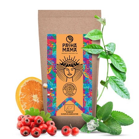 Conjunto inicial de Guayusa Pachamama 2x250g