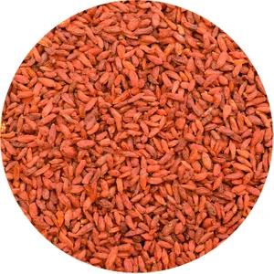 Vivarini - Bagas de Goji (secas) 1kg