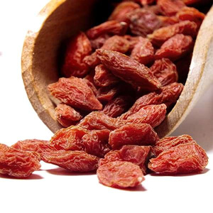 Vivarini - Bagas de Goji (secas) 50g